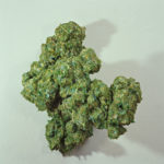 HD : Monstres silicone / 2000-2001